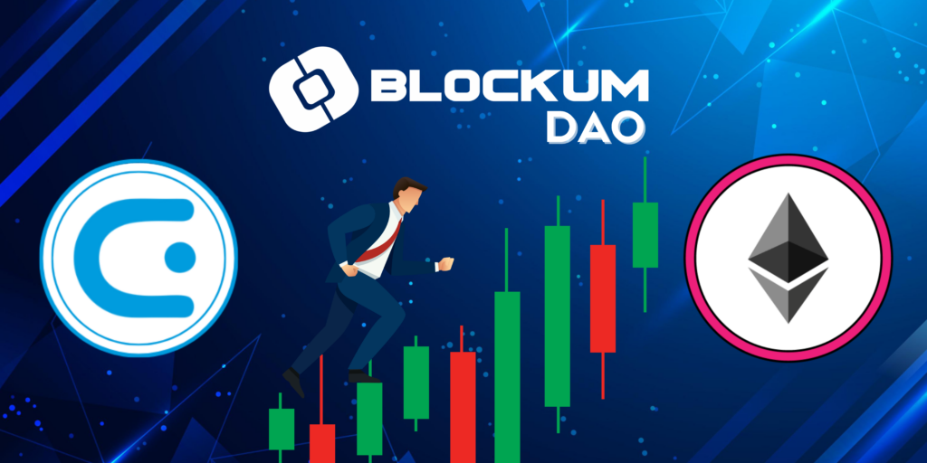 How to Allocate in Blockum DAO?